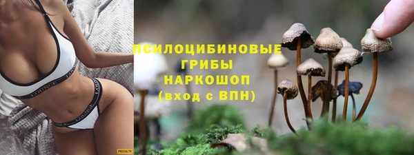 эйфоретик Абинск