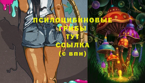эйфоретик Абинск