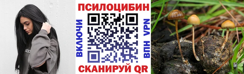 Псилоцибиновые грибы ЛСД  где можно купить наркотик  mega ТОР  Новотроицк 